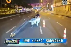 「视频」三轮摩托“小马拉大车”慢行驶招摇过市图片