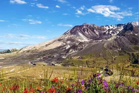 人的三次觉醒：见自己、见天地、见众生（经典）图片