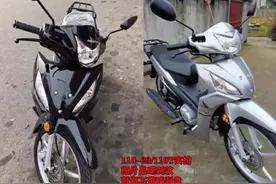 本田威武110T 弯梁摩托车图片