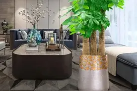 5种花春天要“砍头”，冲天炮“砍一刀”变成爆炸头，富贵十几倍图片