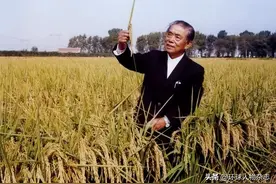95岁杂交稻奠基人走了，“南袁北杨”俱往矣图片