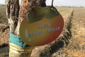 溧阳“捉过田鸡的人”至少奔五了吧如今“田鸡”呢？图片