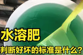 水溶肥，如何判断好坏？这四项标准一个都不能少图片