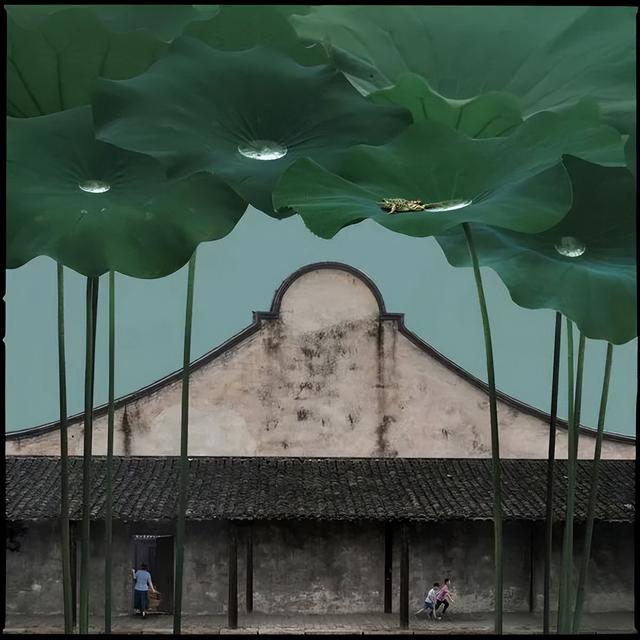 作品选登 | 第28届全国摄影艺术展览创意和商业类作品