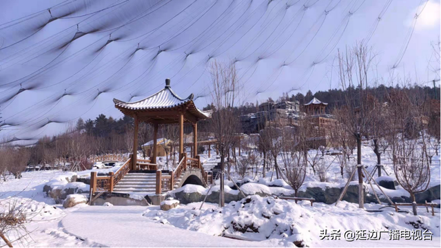 新年新气象，全新快乐体验尽在延吉恐龙王国