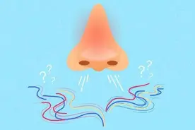 嗅觉失灵了，还能恢复吗？图片