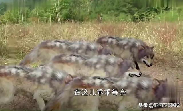 《真命天子》朱重八，你以为是历史剧，其实它是神话剧