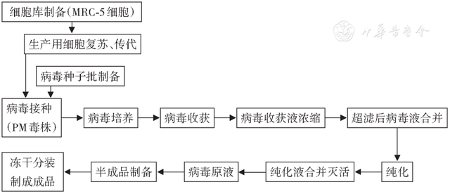 人用疫苗的分类及生产工艺