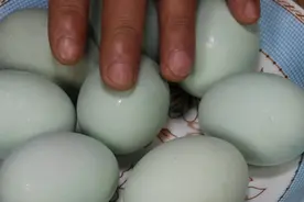 把白酒倒进鸭蛋里，会变成什么样？真是太厉害了，快试试图片