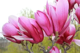 救生艇（救助艇）管理要求图片