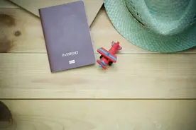 全球“最强护照”一览图片