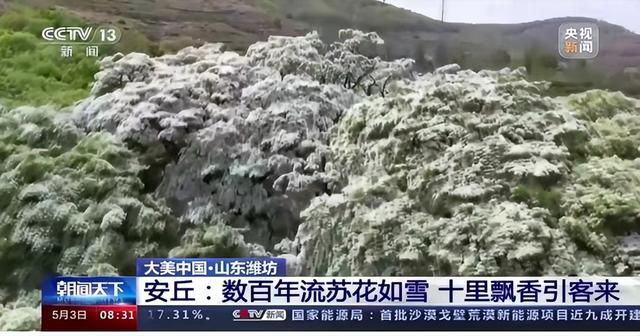 争创山东省乡村文化建设样板镇村 | 辉渠镇:百泉之乡 人文辉渠