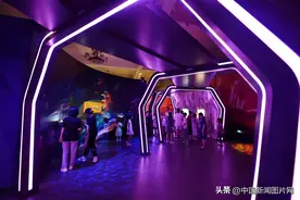 世界三大琥珀产区琥珀珍品亮相河北博物院图片