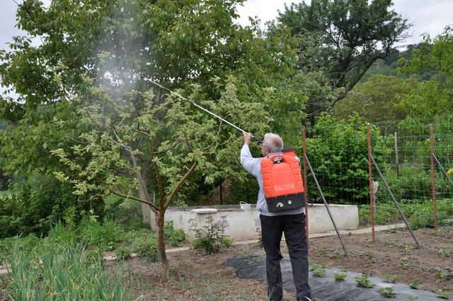 现代果园除草管理,应用防草布解决杂草,方便管理果园