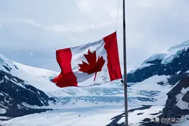 关于加拿大自雇移民VS雇主担保移民，看这篇就够了图片