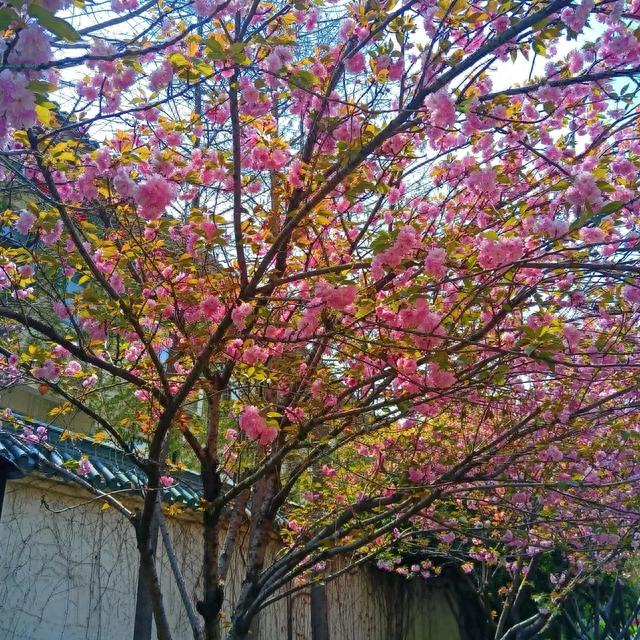 南京古生物博物馆(南京十大著名博物馆)