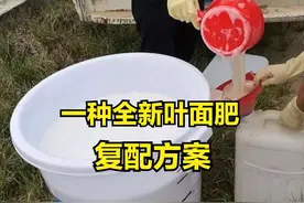 一种全新叶面肥复配方案，喷施48小时后叶子变绿，产量提高18%图片