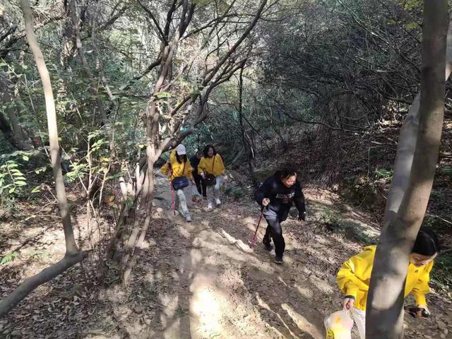 趣研训-适合企业破冰团建的活动项目推荐