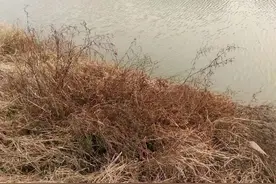 故事：18岁女子路过池塘，发现草丛里，躺着一个被捆绑的青年男子图片