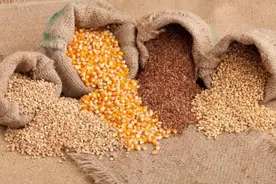 全球粮食危机到底有多严重？中国如何应对方能万全图片