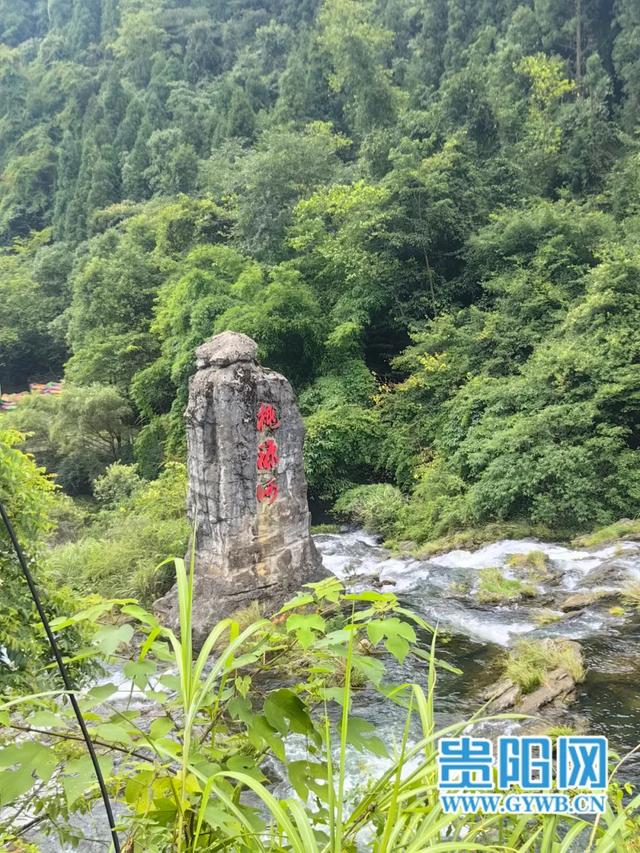 贵阳桃源河漂流“火爆”！超半数游客来自外省！