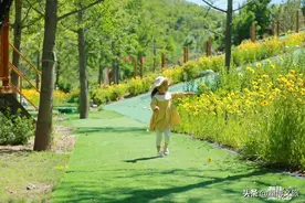乱花渐欲迷人眼。博山有这么多的“花花世界”，总有一处适合你！图片