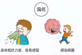各项体检指标超全解读，3分钟看懂体检报告（体检必备）图片