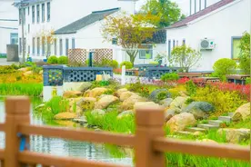 苏州小龙虾大批上市！去浒墅关郊游钓龙虾图片