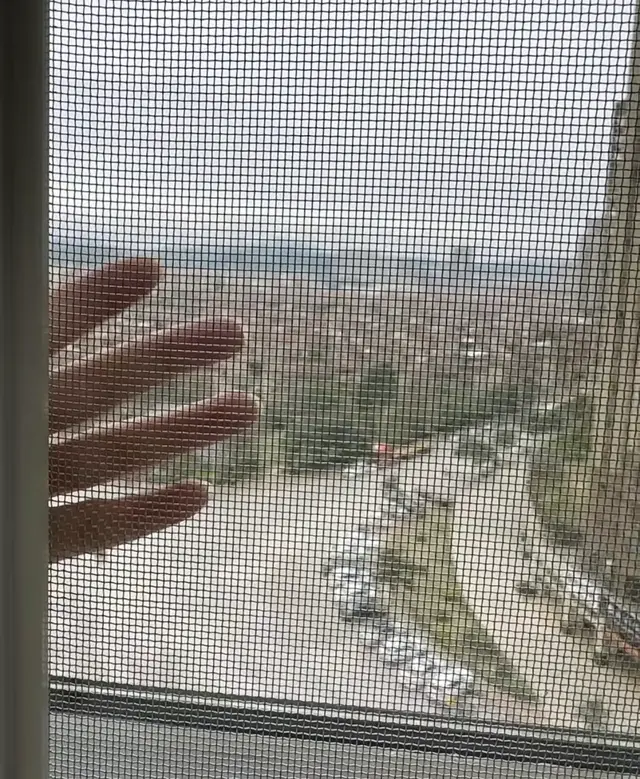 换了2次纱窗，我终于明白了200元金刚网和100元高透网的区别