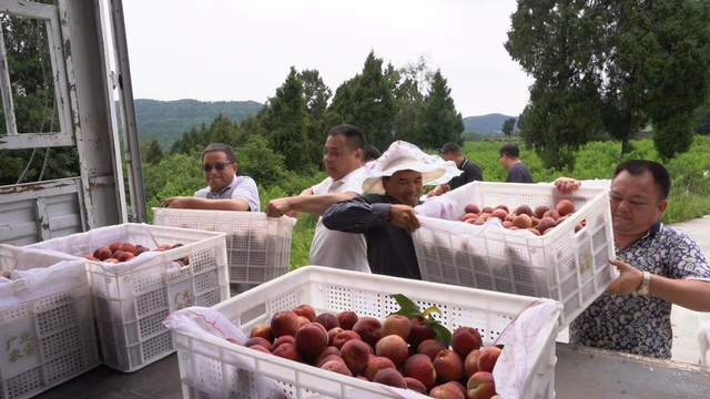 四川省民生研究会新媒体中心-官网