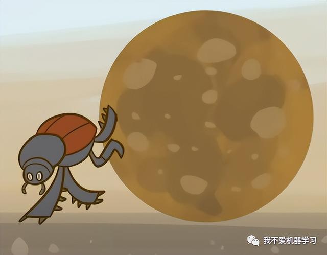 蜣螂算法(原理)