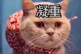 一个“社恐”患者独白：我们并不是在无理取闹图片