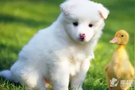 专治不开心，看一遍笑一遍图片