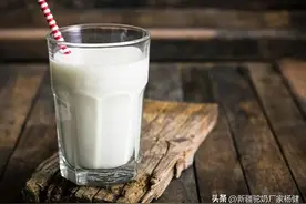 驼奶怎样喝？图片