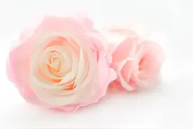 我的恋爱脑女同学，婚后连二手电动车都买不起……图片