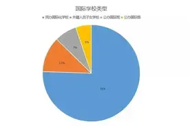 上海国际高中何去何从？深圳学校爆雷，“国际高中”摸排开始图片