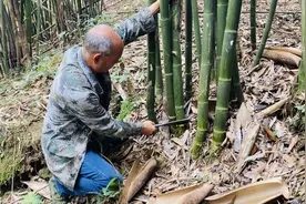 手艺人更是守艺人 带你探访放水节同款竹笼制作技艺图片