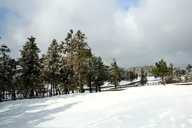 重庆仙女山的冬季——北国风光，推荐几个拍雪景的地方图片