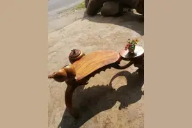 香樟木特色茶几 根雕茶桌 142*72*83图片