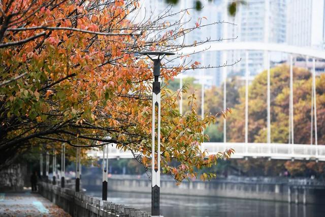 南明区：初冬时节好风景