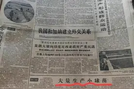 这么好的东西后来怎么没消息了？读《人民日报》大量生产小球藻图片