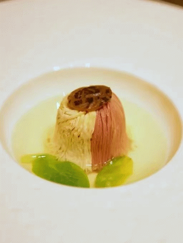 浓汤鸡丝花胶 2025年花胶鸡丝汤的做法大全