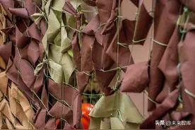 隐身材料行业专题研究：风发泉涌、大有作为图片