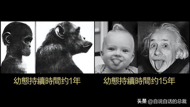 熊猫：真实存在的上古恐惧，为什么只有人类觉得大熊猫很可爱？