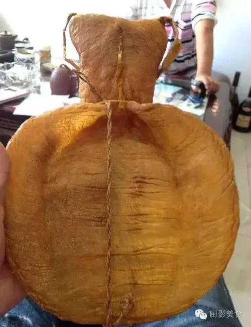 尖头鱼胶的功效 2026年尖头鱼胶的功效与禁忌 尖头鱼胶的功效 2026年尖头鱼胶的功效与禁忌