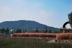 科尔都斯～李时珍图片