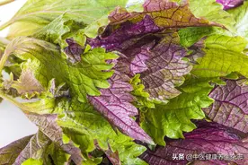 工作压力大，失眠睡不好，试试紫苏吧图片