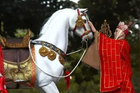 取经成功后，为何小白龙第一件事，就是跳化龙池？不跳会怎样？图片