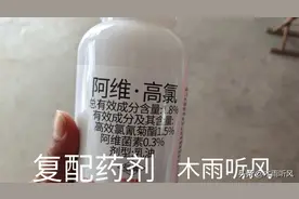 阿维菌素是什么药？阿维菌素主要杀什么害虫？怎样使用效果更好？图片