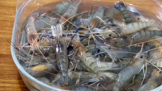 了解这4种区别，轻松辨别“淡水虾之王”，口感不同，价值不同
